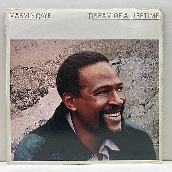 レコードメイン画像：【MOTOWN時代の貴重な未発表音源集】良好盤!! MARVIN GAYE Dream Of A Lifetime (CBS・Sony) SMOKEY ROBINSONとの共作メロウなど 国内 LP