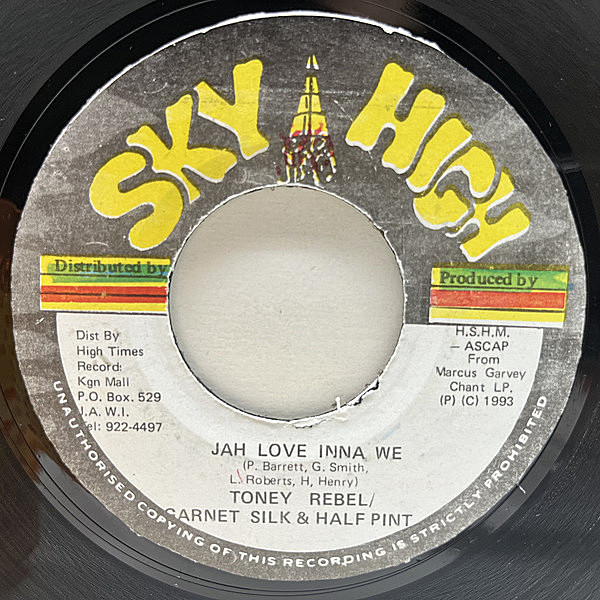 レコードメイン画像：詳細不明の激渋レディソウルDUBもカップリング！JAプレス TONEY REBEL / GARNET SILK / HALF PINT Jah Love Inna We デジタルキラーROOTS