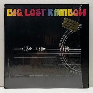 レコード画像：BIG LOST RAINBOW / Same