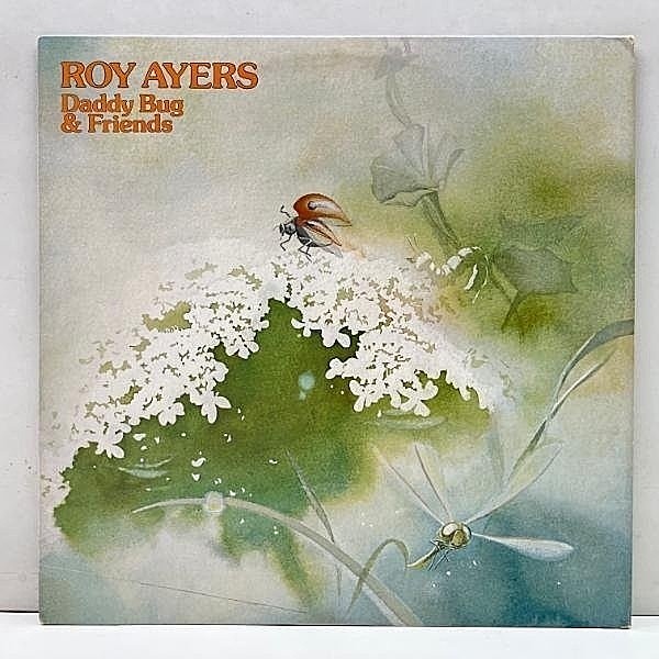 レコードメイン画像：良好品!! USオリジナル ROY AYERS Daddy Bug & Friends 新主流派な響き ～ メロウなソウルジャズ ～ ハードバップまで異例のサウンド