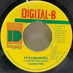 レコード画像：GARNETT SILK / It's Growing