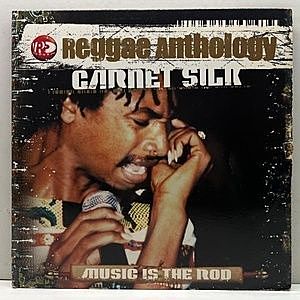 レコード画像：GARNETT SILK / Music Is The Rod