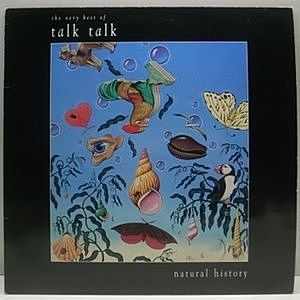 レコード画像：TALK TALK / Natural History (The Very Best Of)